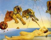 萨尔瓦多 达利 : 醒前一秒钟,石榴树周围飞舞的蜜蜂引起的梦